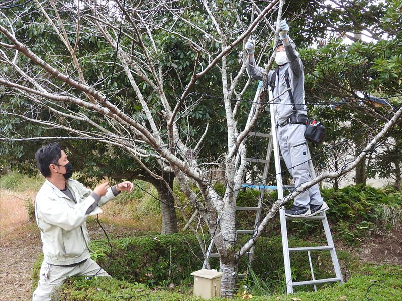 建設ネット企画画像