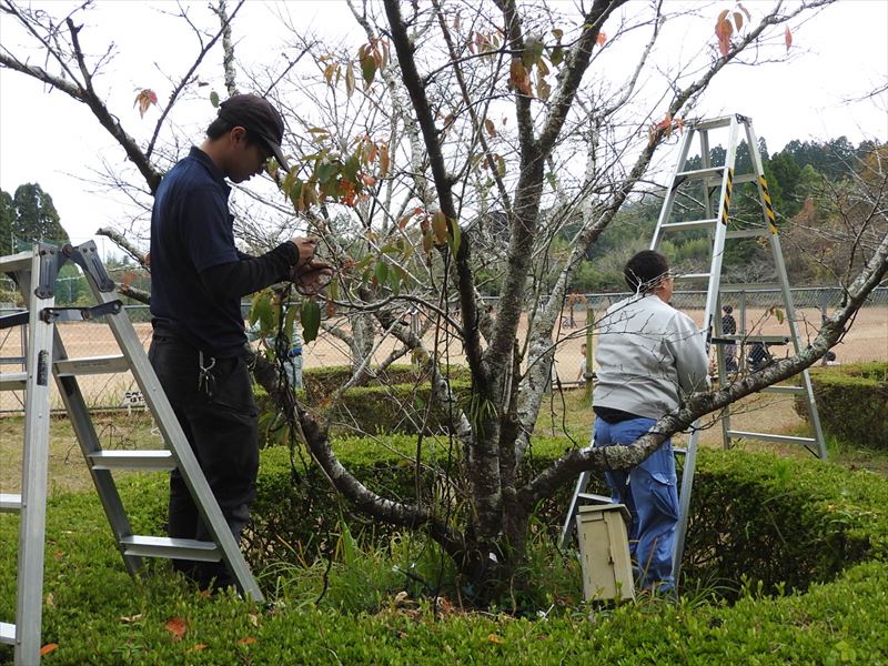 建設ネット企画画像