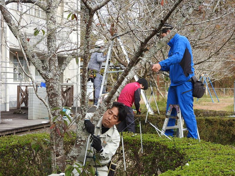 建設ネット企画画像