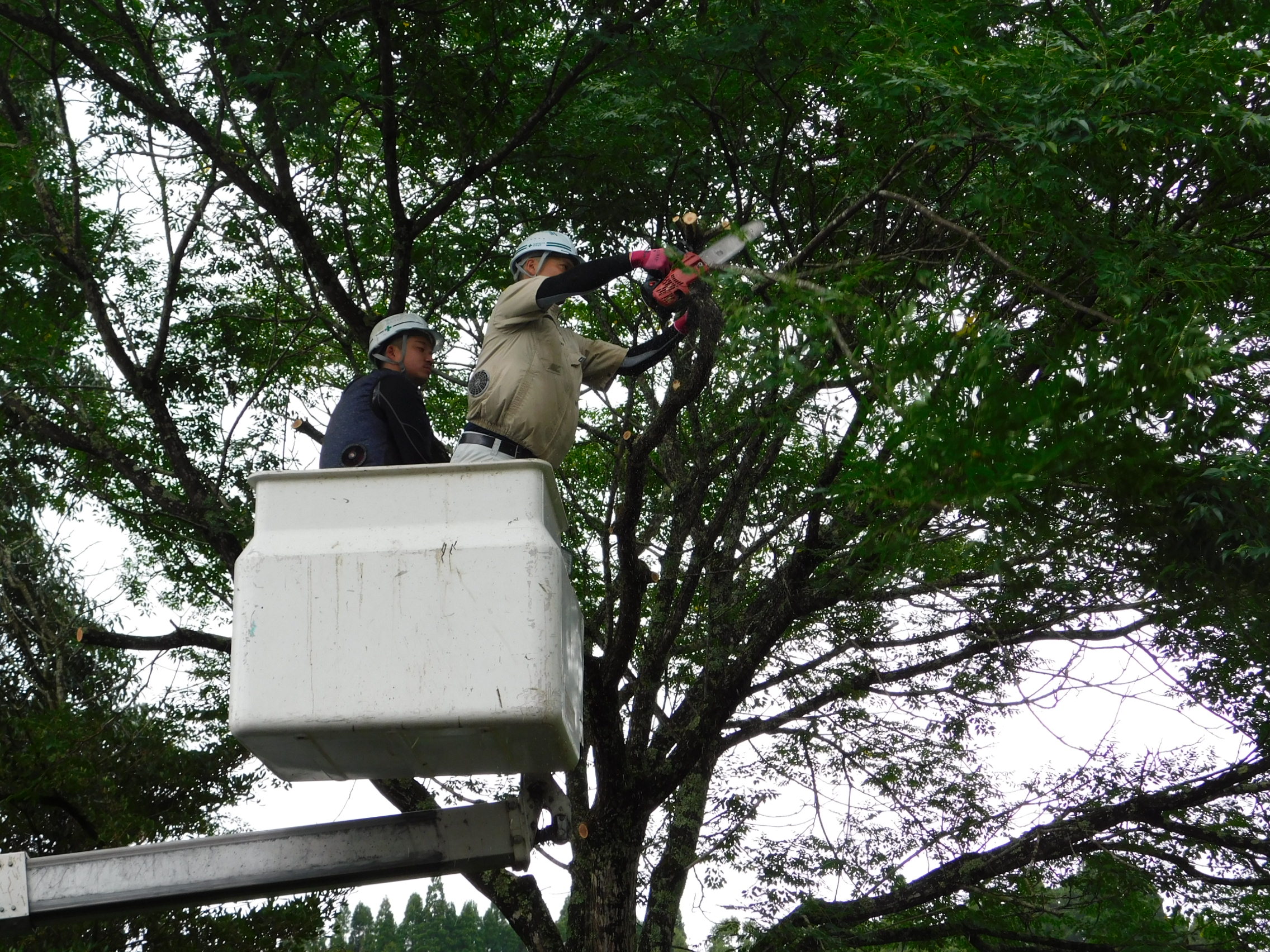 建設ネット企画画像