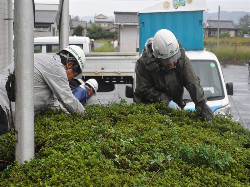 建設ネット企画画像