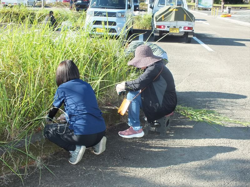 建設ネット企画画像