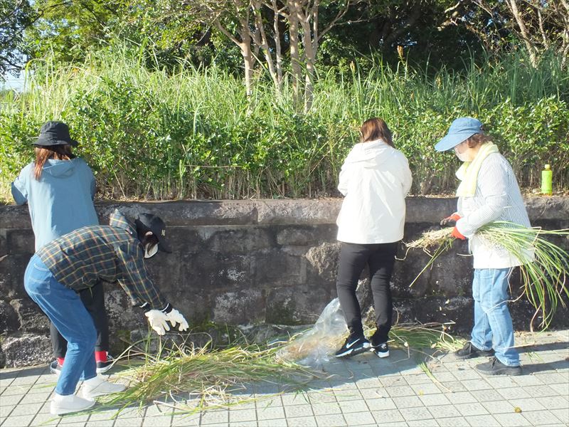 建設ネット企画画像