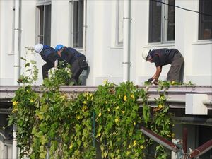 建設ネット企画画像