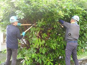 建設ネット企画画像