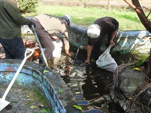 建設ネット企画画像