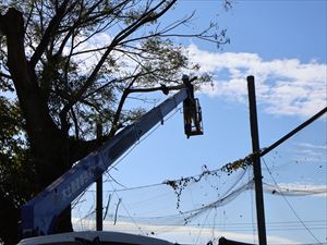 建設ネット企画画像