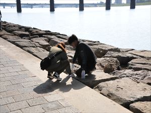 建設ネット企画画像