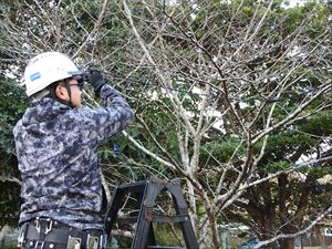 建設ネット企画画像