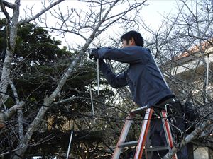 建設ネット企画画像