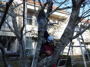 建設ネット企画画像