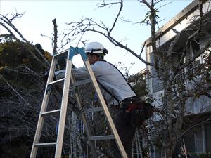 建設ネット企画画像