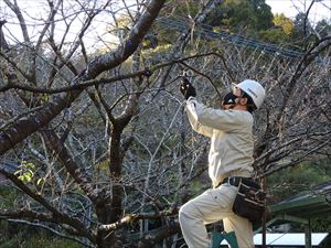 建設ネット企画画像