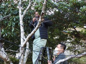 建設ネット企画画像