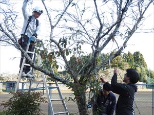 建設ネット企画画像