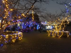 建設ネット企画画像