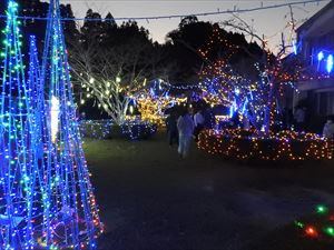 建設ネット企画画像