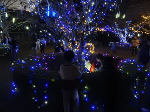 建設ネット企画画像