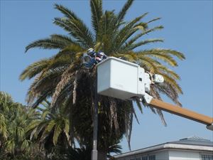 建設ネット企画画像