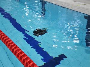 建設ネット企画画像