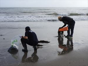 建設ネット企画画像