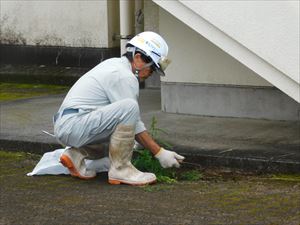 建設ネット企画画像