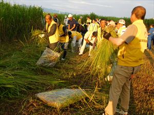 建設ネット企画画像