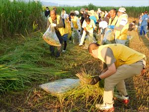 建設ネット企画画像