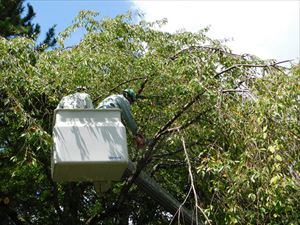 建設ネット企画画像