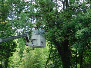 建設ネット企画画像