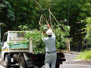 建設ネット企画画像