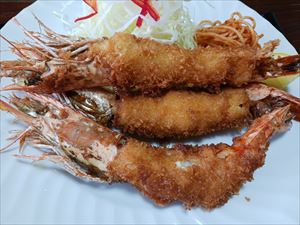 建設ネット企画画像