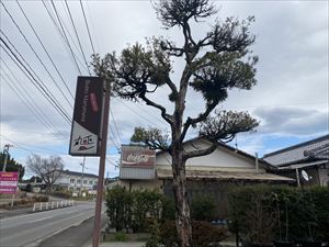 建設ネット企画画像